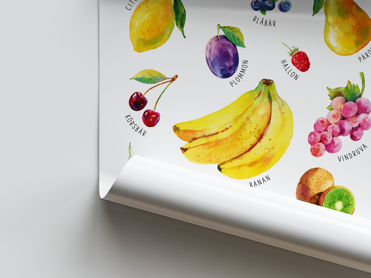 Pedagogisk poster: Frukter och bär