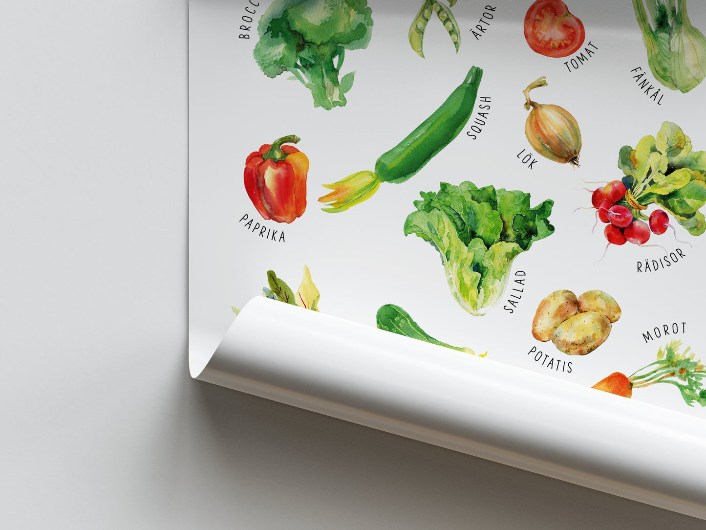 Pedagogisk poster: Grönsaker
