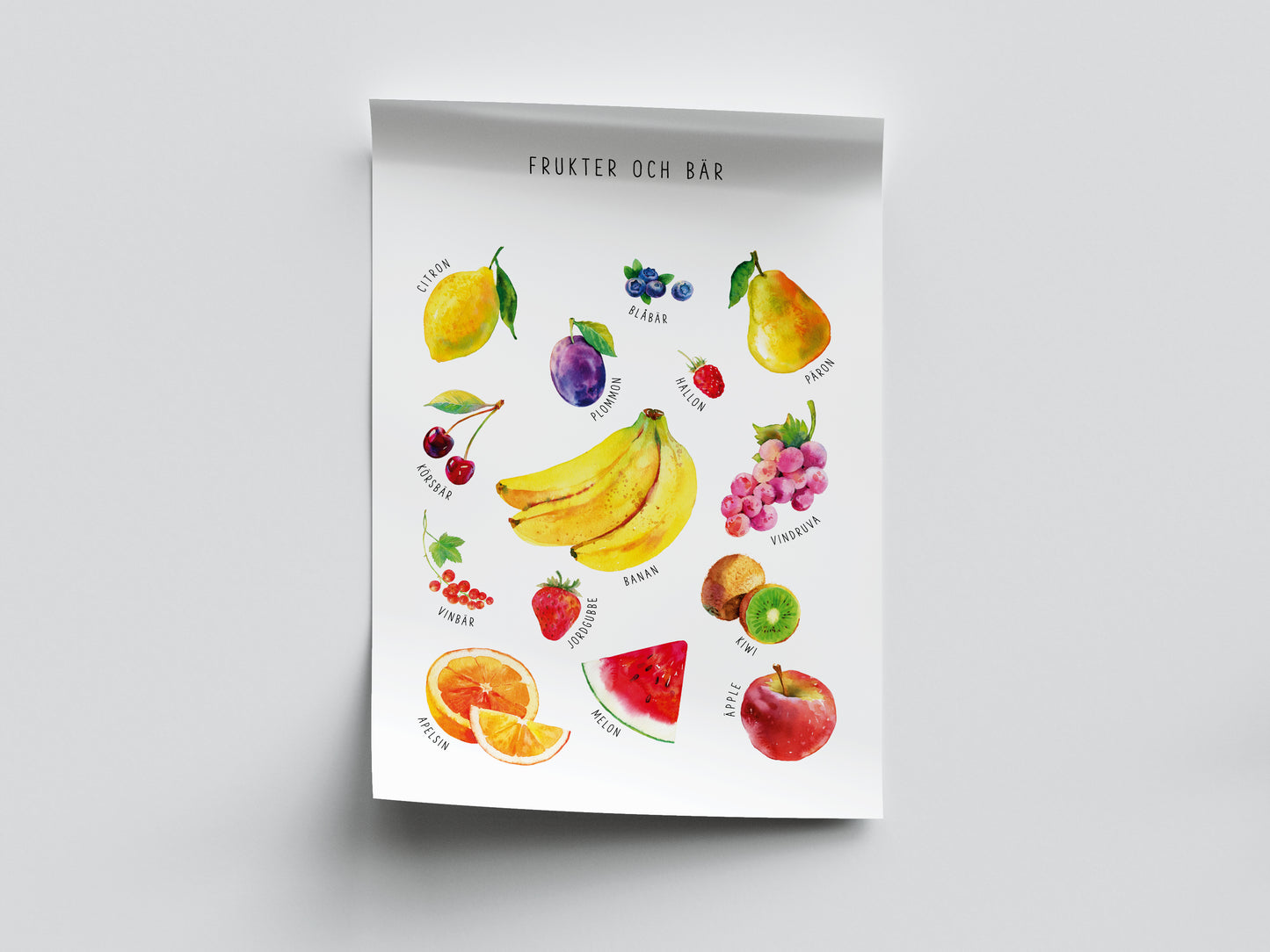 Pedagogisk poster: Frukter och bär