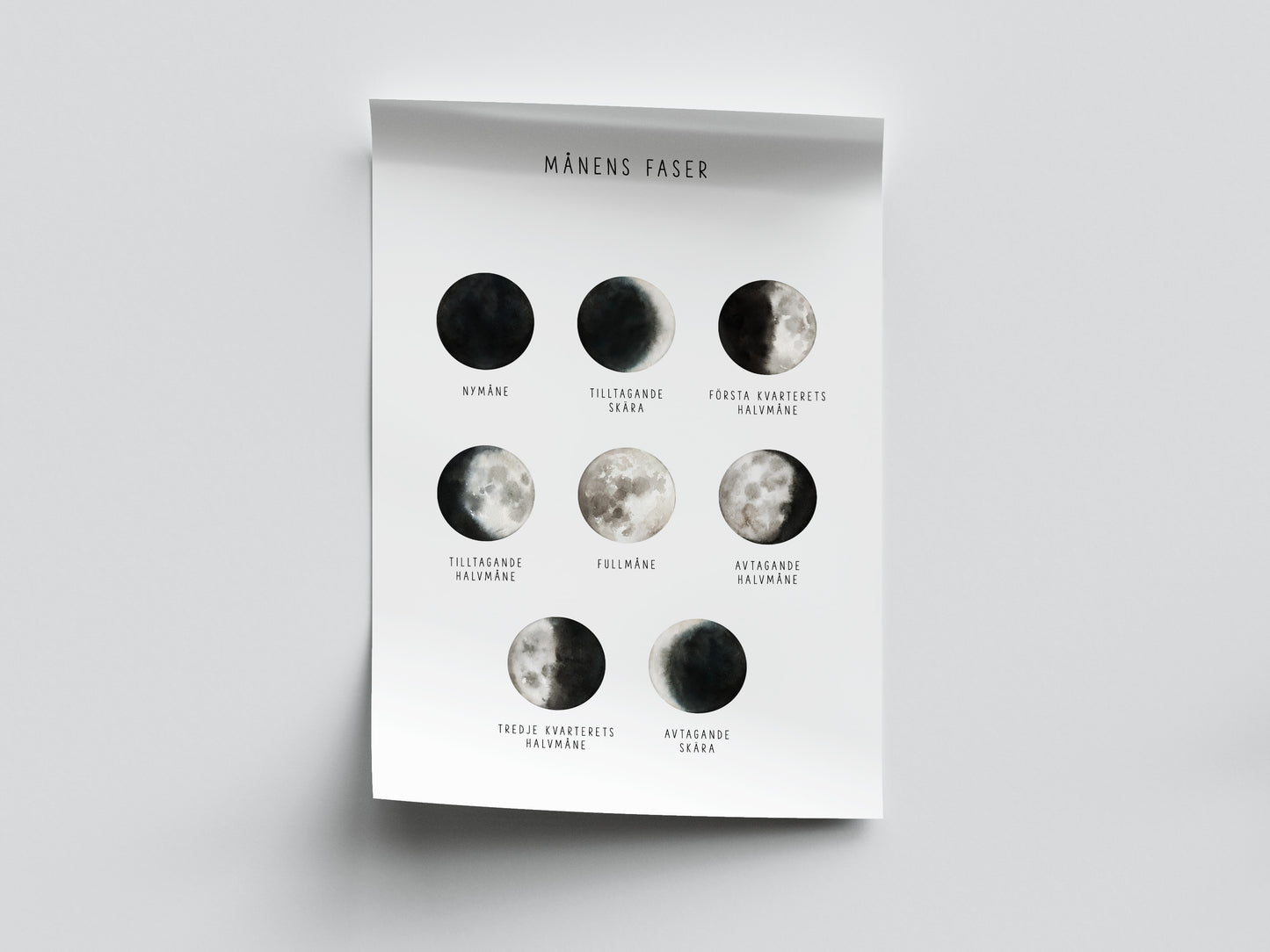 Pedagogisk poster: Månens faser