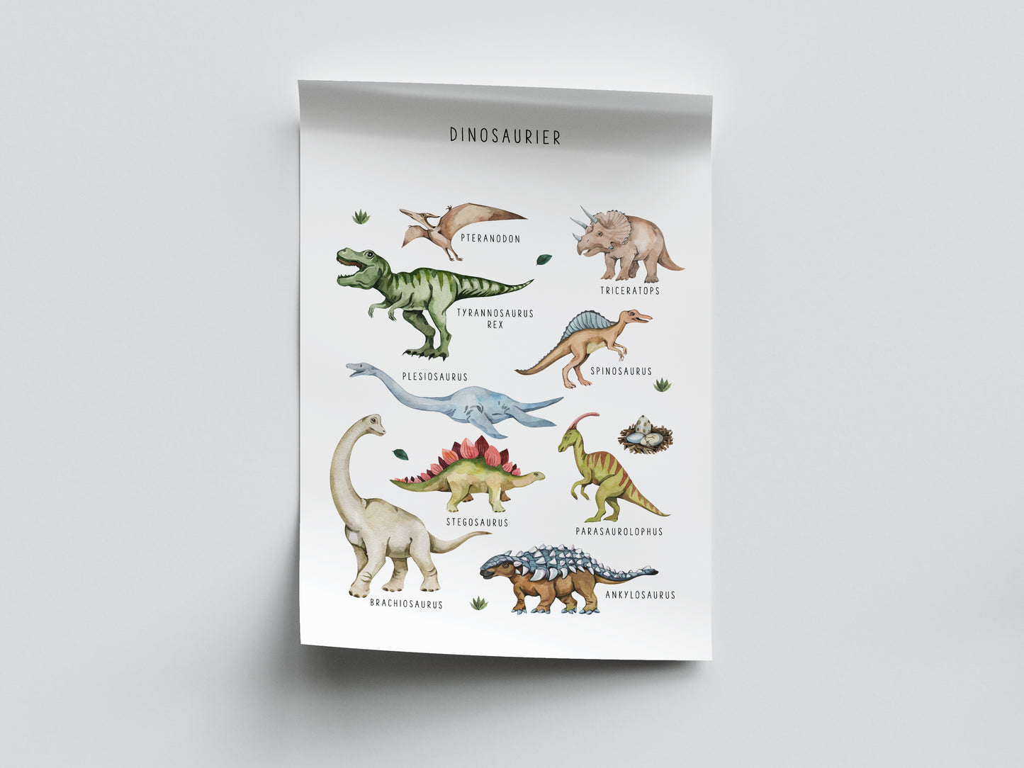 Pedagogisk poster: Dinosaurier