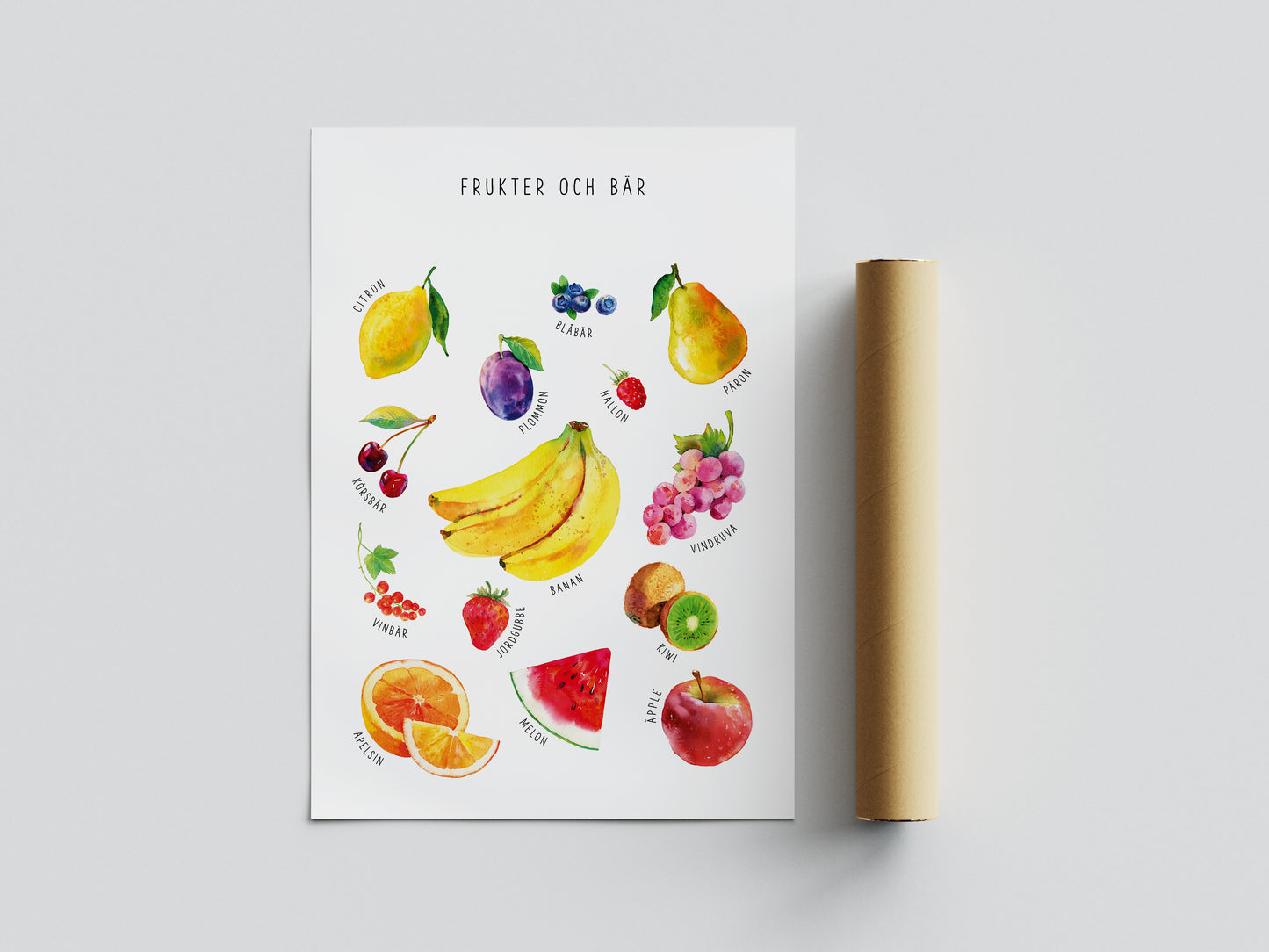 Pedagogisk poster: Frukter och bär