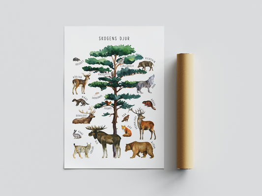 Pedagogisk poster: Skogens djur